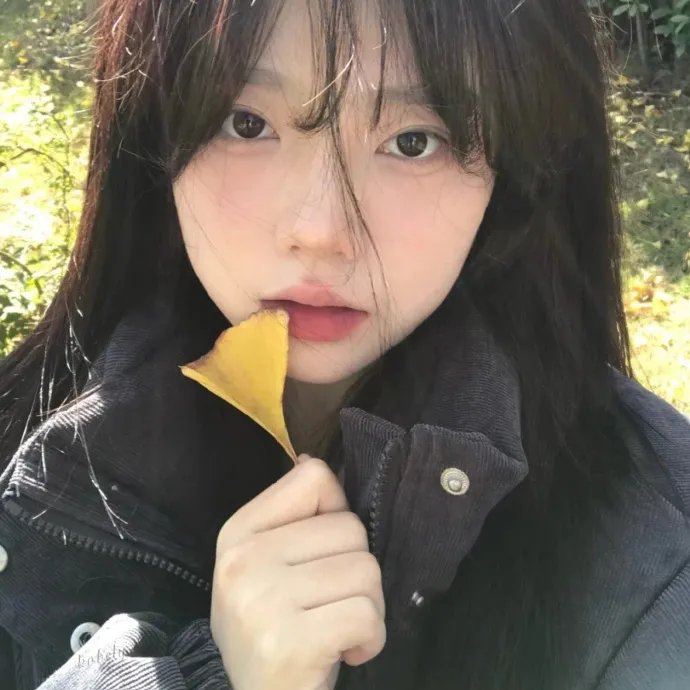 风流世界